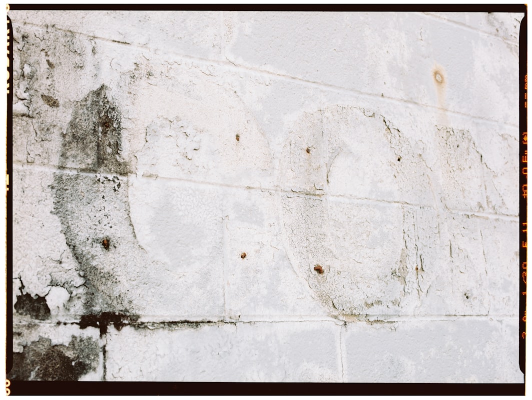 Flood Cleanup service in New Haven, CT